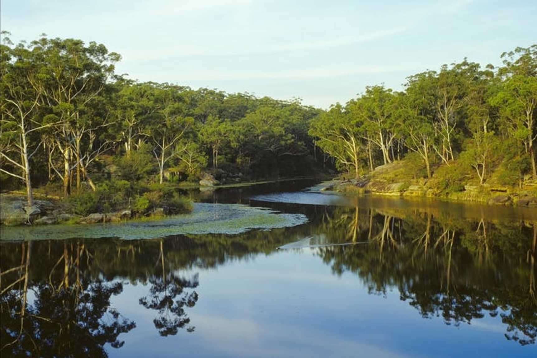 Have a Dip in Lake Parramatta Reserve