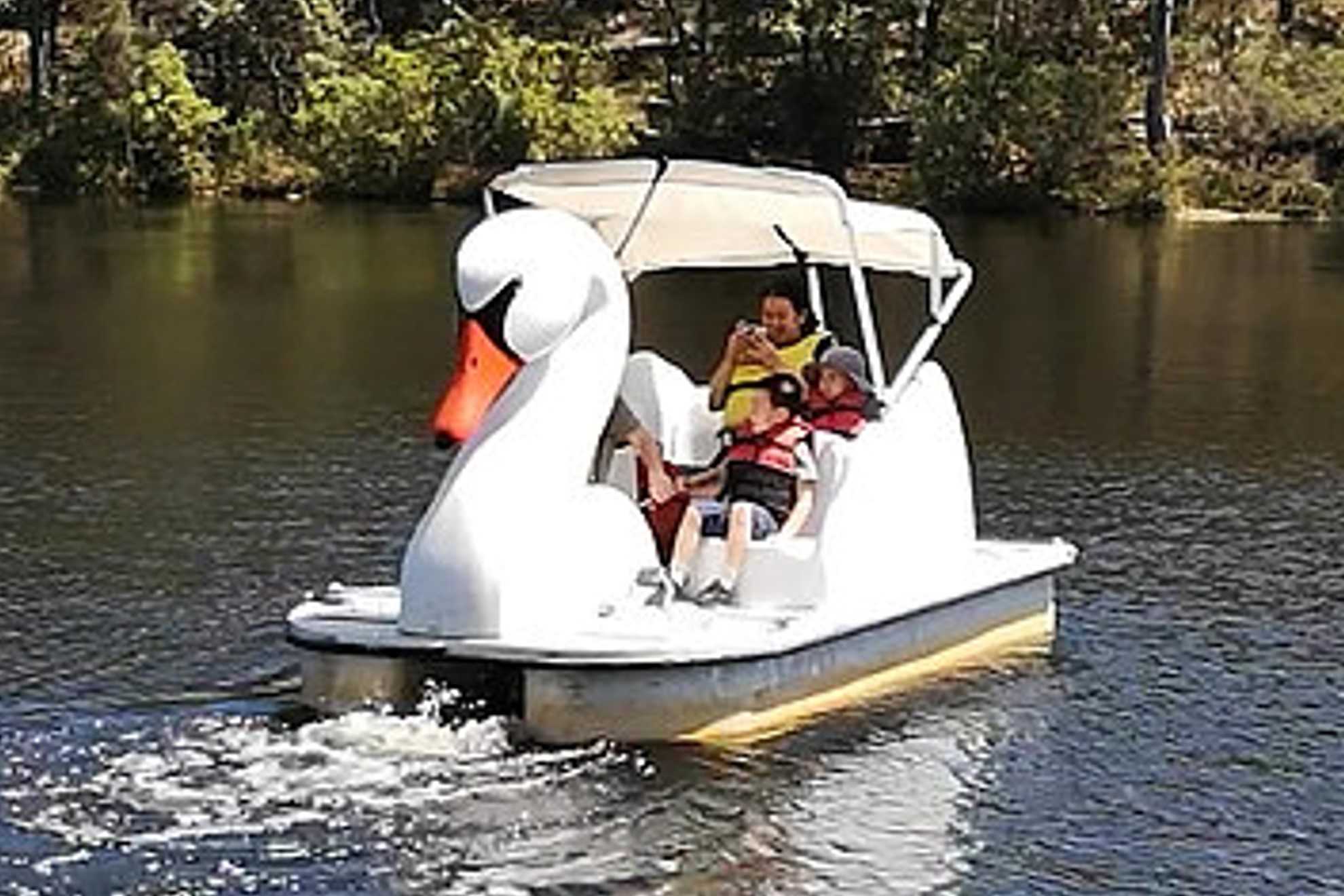 Take Out a Pedalboat or Rowboat on the Lake